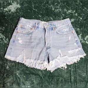 Agolde Shorts Womens Size 27 Parker Vintage Cutoff Short in Swapmeet Button Fly